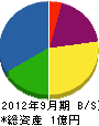 柴田工業 貸借対照表 2012年9月期