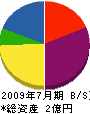 坂田組 貸借対照表 2009年7月期