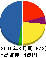 沖永開発 貸借対照表 2010年6月期
