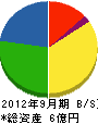 日東 貸借対照表 2012年9月期