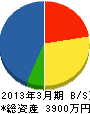 橋本電設 貸借対照表 2013年3月期