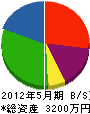 南陵工業 貸借対照表 2012年5月期
