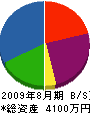 長井地下開発 貸借対照表 2009年8月期