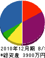神崎建設 貸借対照表 2010年12月期