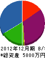 津島ボイラー 貸借対照表 2012年12月期