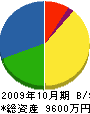 渡辺建設 貸借対照表 2009年10月期