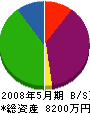 堀井内装 貸借対照表 2008年5月期
