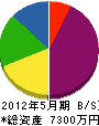 中村電気工業 貸借対照表 2012年5月期