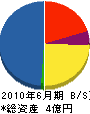 アヅサ電気工業 貸借対照表 2010年6月期