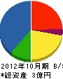笹川建設 貸借対照表 2012年10月期