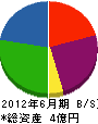 日本ピー・シー・テー建設 貸借対照表 2012年6月期