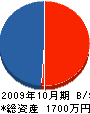 誠晃建装 貸借対照表 2009年10月期