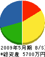 奈須建設 貸借対照表 2009年5月期