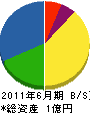 朝日電機 貸借対照表 2011年6月期