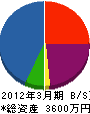 丸山土木 貸借対照表 2012年3月期