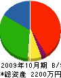 高橋塗装 貸借対照表 2009年10月期