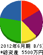 千葉塗装 貸借対照表 2012年6月期