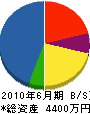 野沢土建 貸借対照表 2010年6月期