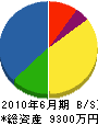 本田設備 貸借対照表 2010年6月期