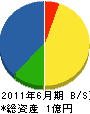 金澤建設 貸借対照表 2011年6月期