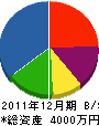 天草開発 貸借対照表 2011年12月期