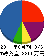 野島組 貸借対照表 2011年6月期