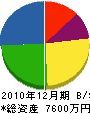 早川電機 貸借対照表 2010年12月期