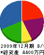 中野塗装工業 貸借対照表 2009年12月期