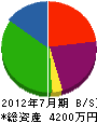 下野総合開発 貸借対照表 2012年7月期