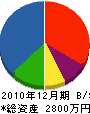 山田電気 貸借対照表 2010年12月期