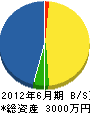 栄晃舗装 貸借対照表 2012年6月期