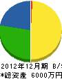 川上組 貸借対照表 2012年12月期