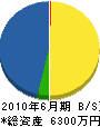 大垣春組 貸借対照表 2010年6月期