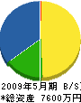 新栄土木 貸借対照表 2009年5月期