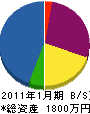 カナコギ塗装 貸借対照表 2011年1月期