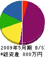 尾崎地質調査 貸借対照表 2009年5月期