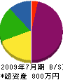 池田塗装店 貸借対照表 2009年7月期