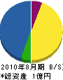 塚＊土木 貸借対照表 2010年8月期