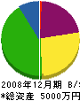 斑鳩設備 貸借対照表 2008年12月期