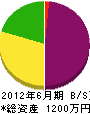 嶋田建設 貸借対照表 2012年6月期