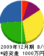 小澤造園 貸借対照表 2009年12月期
