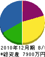 渡辺ハウジング 貸借対照表 2010年12月期