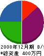 信孝電業 貸借対照表 2008年12月期