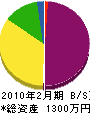 剣巴商会 貸借対照表 2010年2月期
