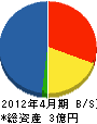 松本設備 貸借対照表 2012年4月期
