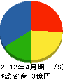 遠藤電機 貸借対照表 2012年4月期