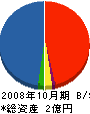 パトス 貸借対照表 2008年10月期