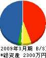 東京電設 貸借対照表 2009年3月期