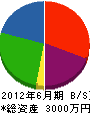 長谷川土建 貸借対照表 2012年6月期