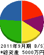 池田研窓 貸借対照表 2011年9月期